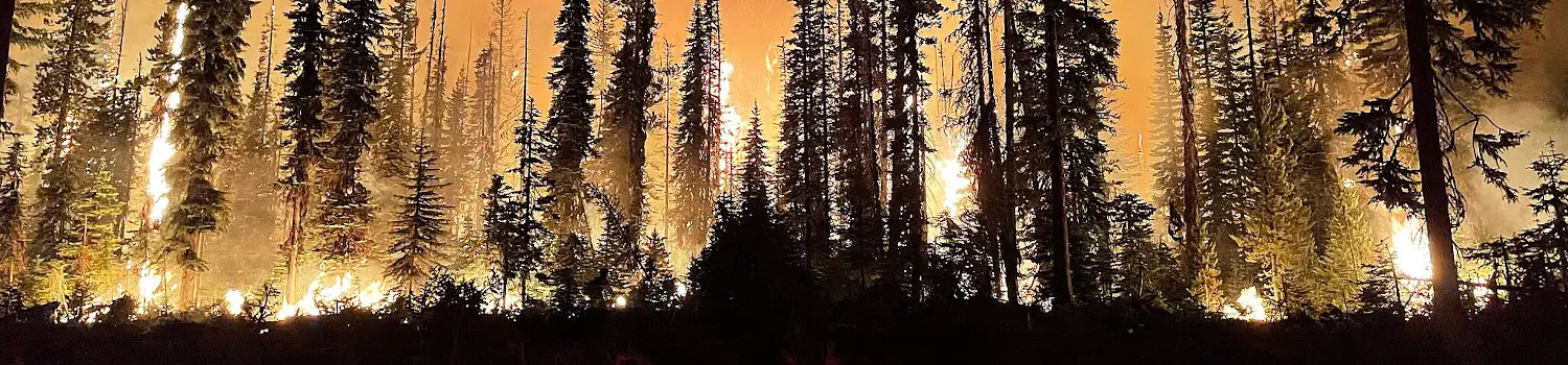 Fire Management