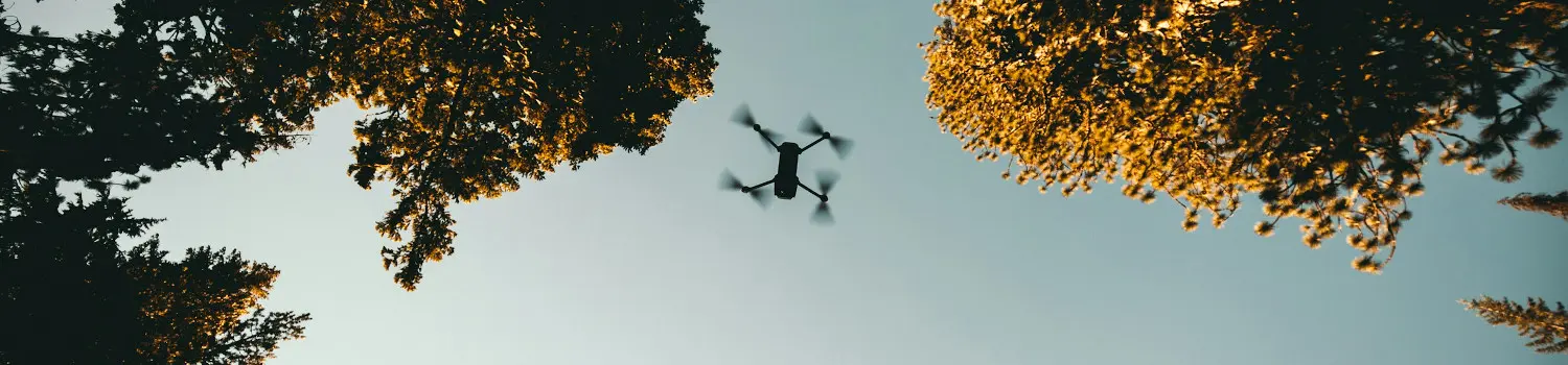 Forest Restoration Drone