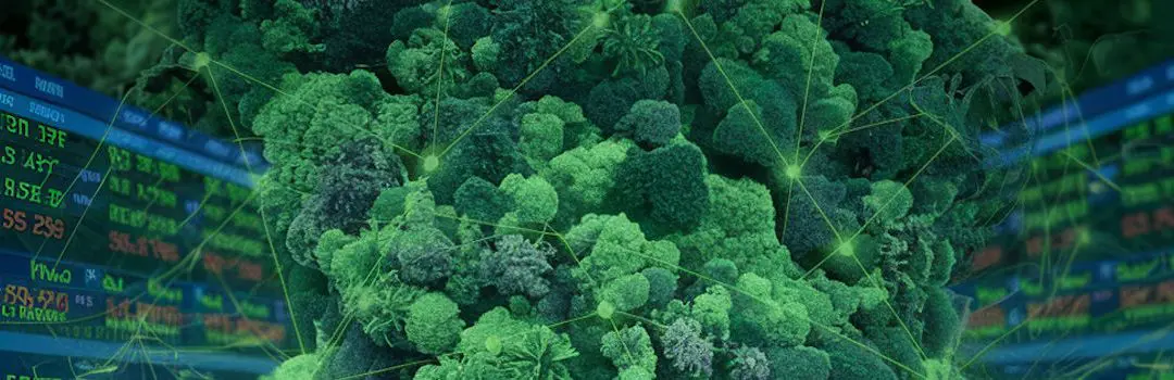 How to De-Risk Your Carbon Credits – Greenomix.com