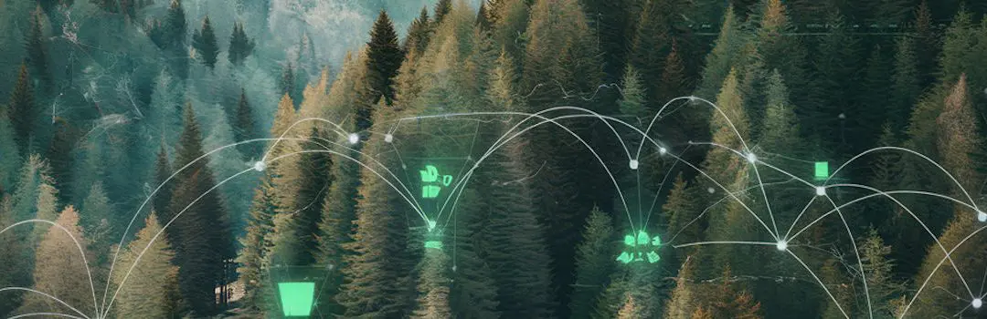 How AI Transforms Forest Economics