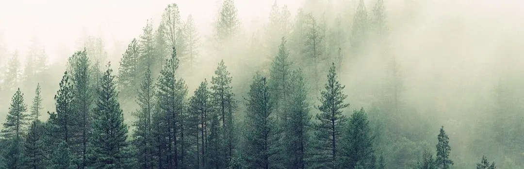 How to Navigate Buzzword Overload: Sustainability