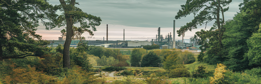 Carbon Credits Explained: A Practical Guide for Entrepreneurs and Investors