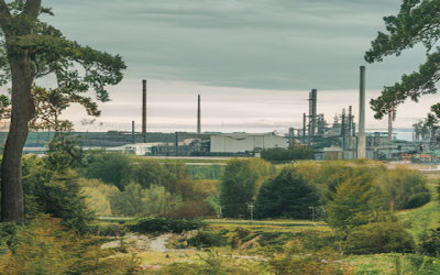 Carbon Credits Explained: A Practical Guide for Entrepreneurs and Investors