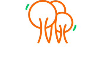 Enabling Forest Tech Innovations With Digital Technology Forest