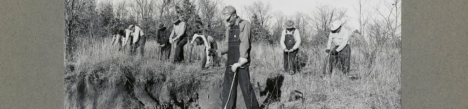 2048px-Reforestation-_Planting_-_Mississippi Forest restoration in Mississippi