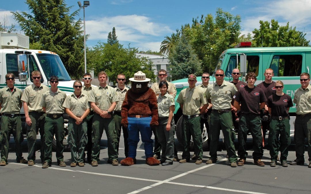 The Legacy of Smokey Bear: A Tale of Wildfire Prevention and Forest Resilience