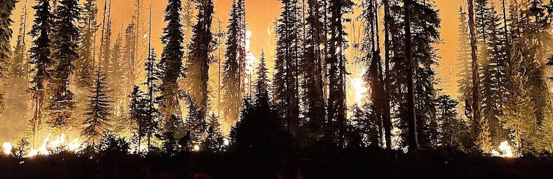 Fire Management in Forestry: History, Challenges, and Future Trends