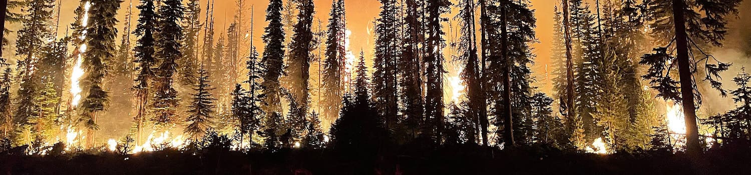 2048px-Lick_Fire_on_the_Umatilla_National_Forest_burning_at_night-Crop Fire Management