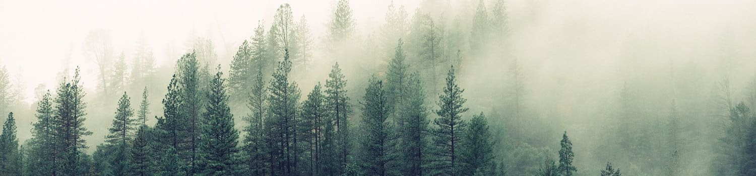 jay-mantri-TFyi0QOx08c-unsplash-crop sustainability