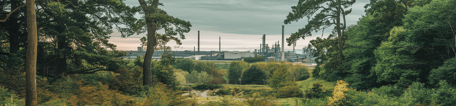 carbon carbon credits